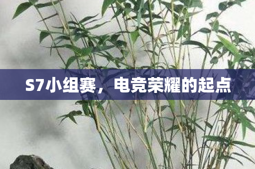 电竞荣耀的起点图片