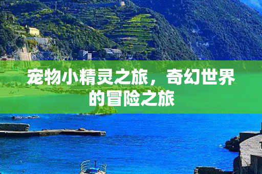 奇幻世界的冒险之旅图片