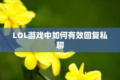 LOL游戏中如何有效回复私聊图片