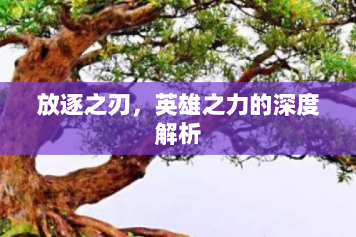 英雄之力的深度解析图片
