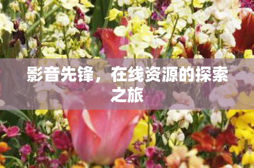 在线资源的探索之旅图片