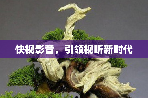 引领视听新时代图片