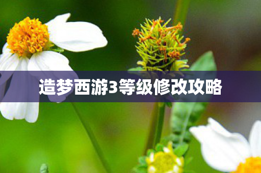 造梦西游3等级修改攻略图片