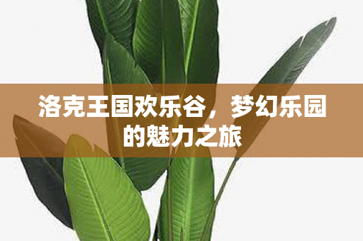梦幻乐园的魅力之旅图片