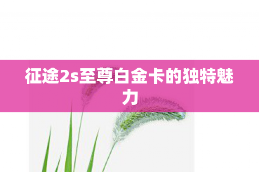 征途2s至尊白金卡的独特魅力图片