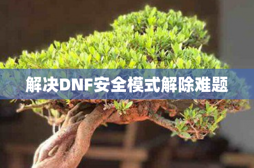 解决DNF安全模式解除难题图片