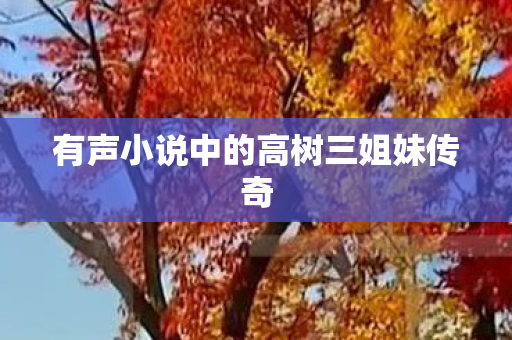 有声小说中的高树三姐妹传奇图片