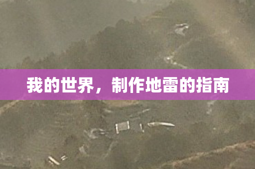 制作地雷的指南图片
