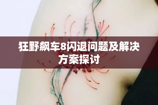 狂野飙车8闪退问题及解决方案探讨图片