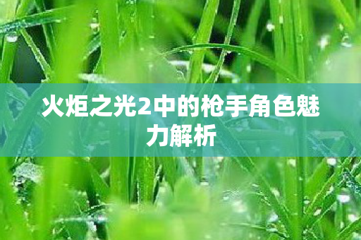 火炬之光2中的枪手角色魅力解析图片