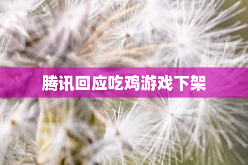 腾讯回应吃鸡游戏下架图片