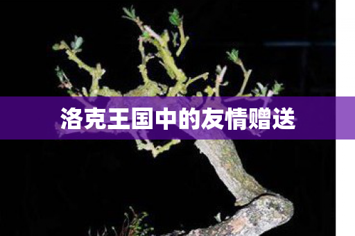 洛克王国中的友情赠送图片