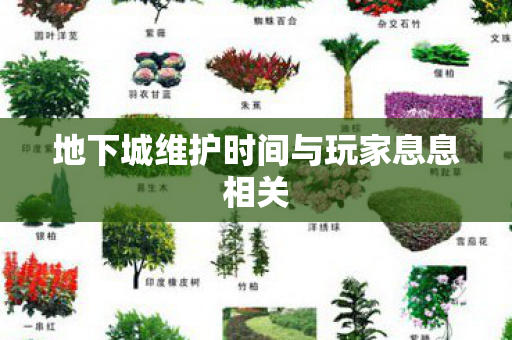地下城维护时间与玩家息息相关图片