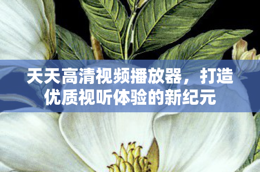 打造优质视听体验的新纪元图片