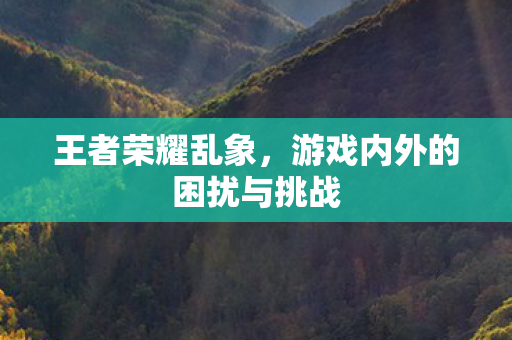 游戏内外的困扰与挑战图片
