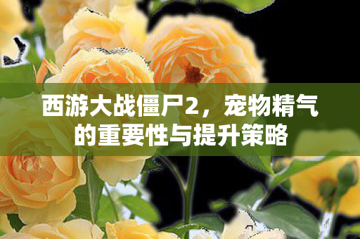 宠物精气的重要性与提升策略图片