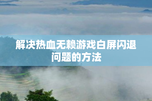 解决热血无赖游戏白屏闪退问题的方法图片
