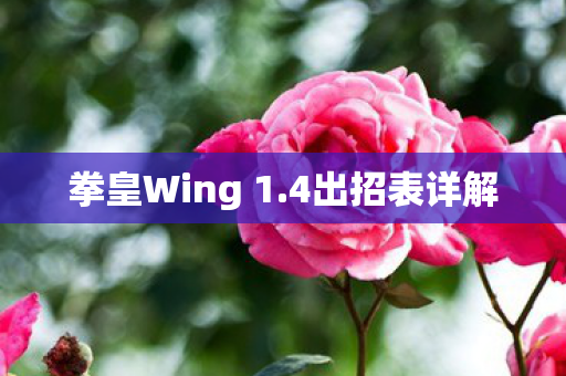 拳皇Wing 1图片