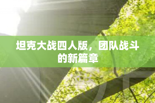 团队战斗的新篇章图片
