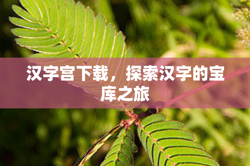 探索汉字的宝库之旅图片