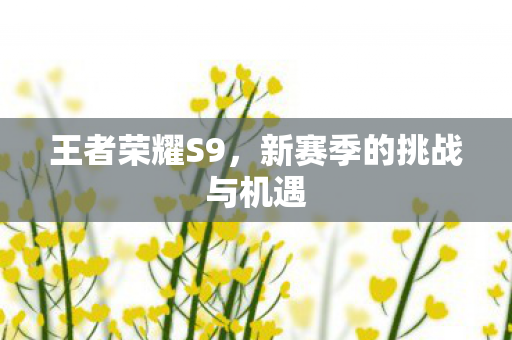 新赛季的挑战与机遇图片
