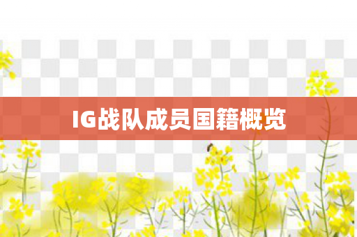 IG战队成员国籍概览图片