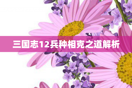 三国志12兵种相克之道解析图片