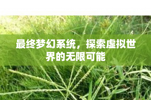 探索虚拟世界的无限可能图片