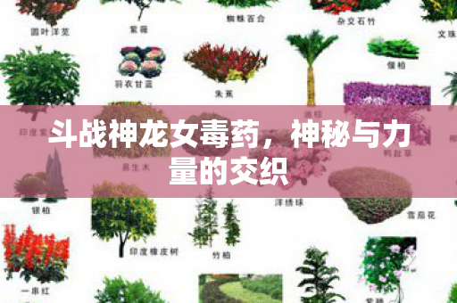 神秘与力量的交织图片