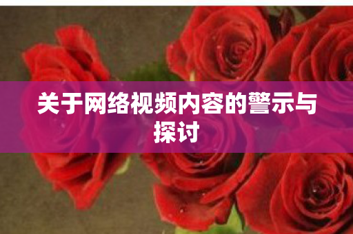 关于网络视频内容的警示与探讨图片