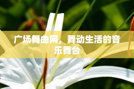 舞动生活的音乐舞台图片