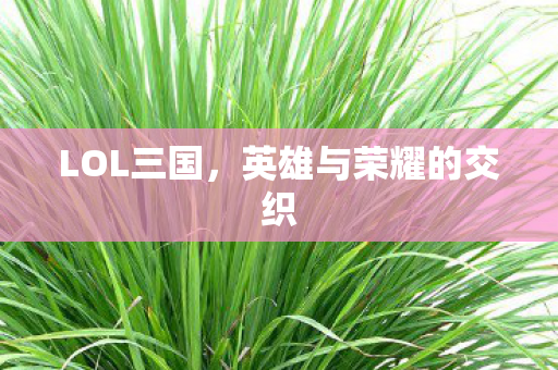 英雄与荣耀的交织图片