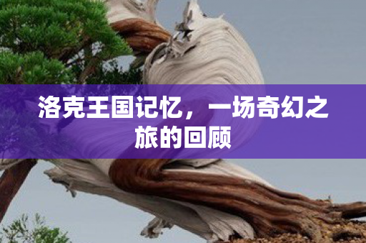 一场奇幻之旅的回顾图片