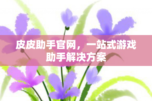 一站式游戏助手解决方案图片