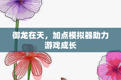 加点模拟器助力游戏成长图片
