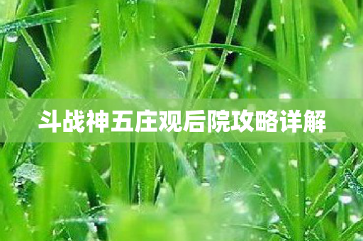 斗战神五庄观后院攻略详解图片