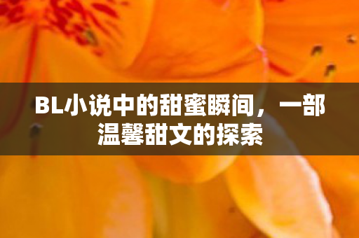 BL小说中的甜蜜瞬间图片