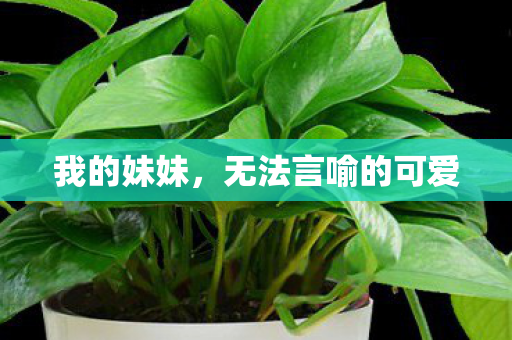 无法言喻的可爱图片