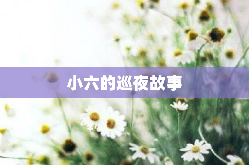 小六的巡夜故事图片