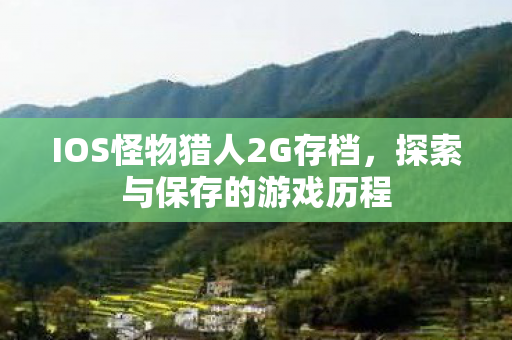 IOS怪物猎人2G存档图片