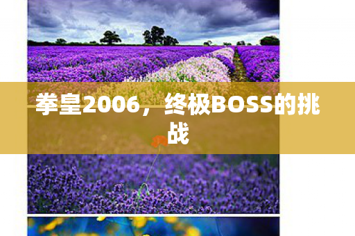 终极BOSS的挑战图片