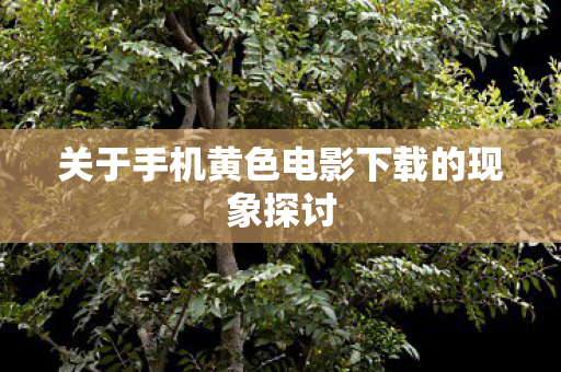 关于手机黄色电影下载的现象探讨图片