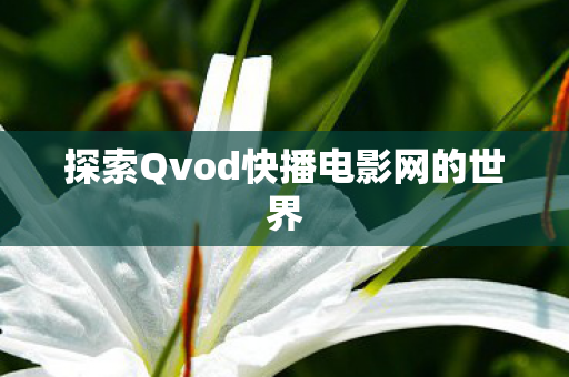 探索Qvod快播电影网的世界图片