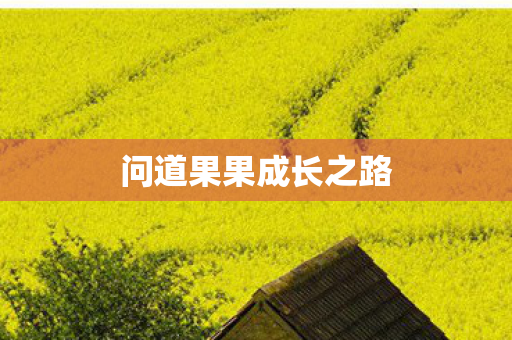 问道果果成长之路图片