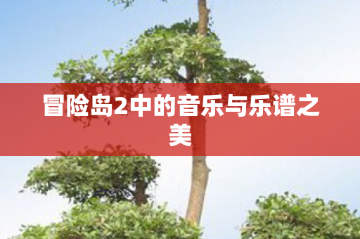 冒险岛2中的音乐与乐谱之美图片