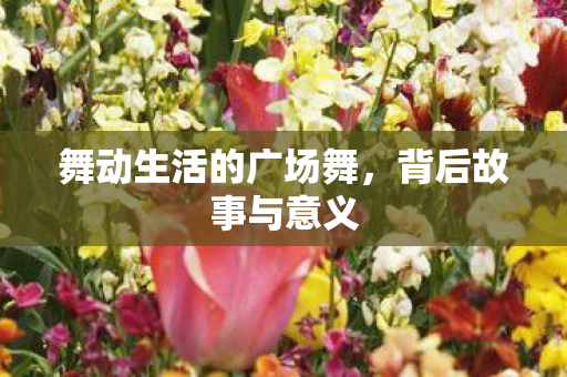 舞动生活的广场舞图片