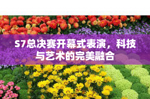 S7总决赛开幕式表演图片