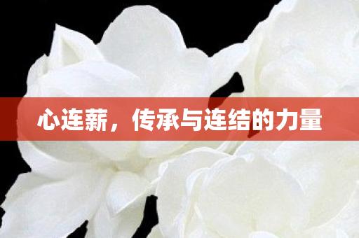 传承与连结的力量图片