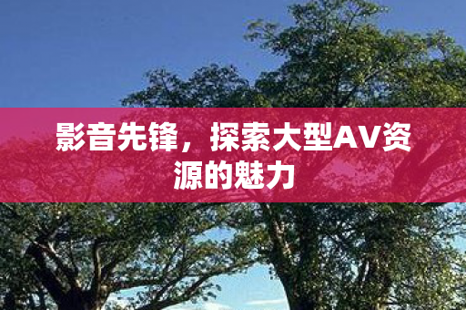 探索大型AV资源的魅力图片