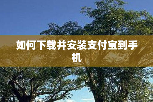 如何下载并安装支付宝到手机图片